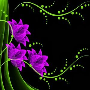 Meet your Posher, Ms